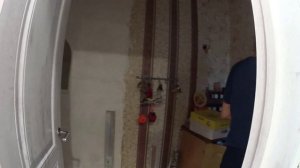 СОЛОВЕЙ ПОДНЯЛ НАСТРОЕНИЕ