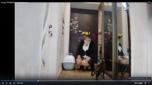 Конкурс красоты ЗООЛЕДИ турнира РФО 01 марта 2026г