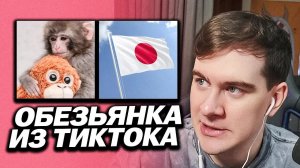 БРАТИШКИН ПРО ОБЕЗЬЯНКУ ПАНЧА / ПРО ОТНОШЕНИЯ ЛИКСА / ВЕРНУЛ ДЕНЬГИ ЗА ДОНАТЫ