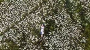 Девушка из Полесья ст.М.Погореловой,муз.и вокал нейросеть,мастеринг и монтаж В.Зубковой