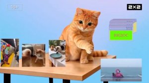 2х2 Анонс Скинь видос (28.02.2026)