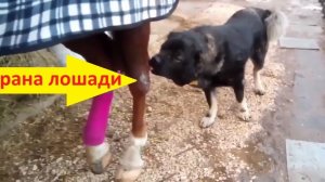 Народные методы лечения