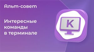 Интересные команды в терминале Linux