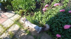 ЗА ОКНОМ ЗИМА,А ВАМ НЕ НОГО ТЕПЛА ☀️☀️☀️