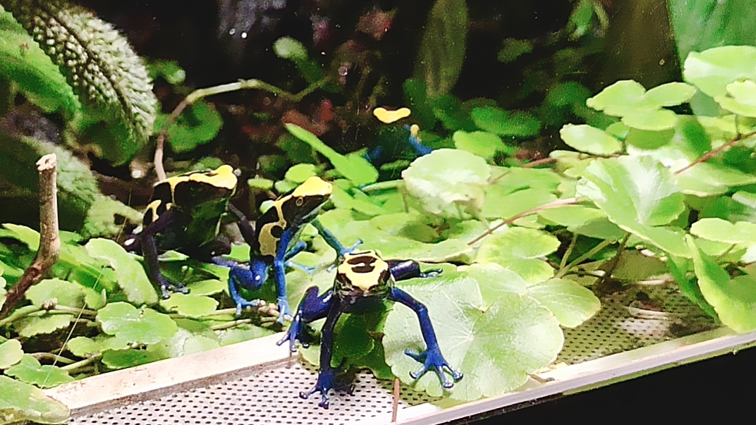 Москвариум. Часть 7