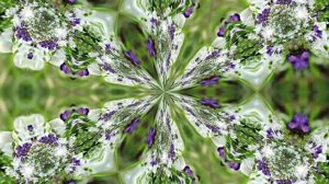 Видеофоны! Видеофон Подснежники 7! Футаж от Киностудии Мудрого Кота Тимофея!