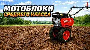 Топ-5. Лучшие бензиновые мотоблоки среднего класса