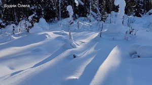 ПОХОД В ЛЕС НА МОТОТОЛКАЧЕ АЛЬБАТРОС ХЛВ9