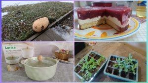 Пикировка.Тирольский🍓 пирог 👍 Сохранилась и не съели