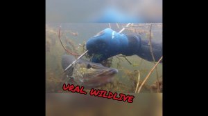 Озеро Атавды РБ