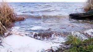 Последний день зимы VID_2026.02.28_13.40