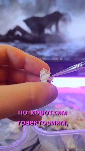 Необычные клавиатуры позволяют печатать быстрее