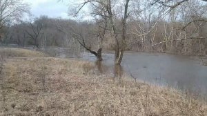 Разлив р.Бузулук