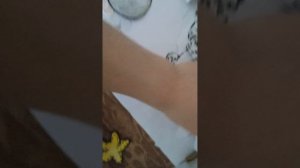 кармёшка всех собак!?) 
спасибо за 21 пдп!!#