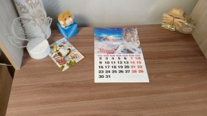 СП " Вяжем играя" с Еленой Велиной, финиш 22 тура.