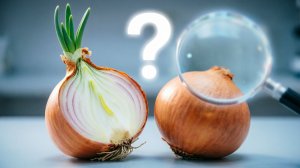 МАГАЗИННЫЙ ЛУК vs СВОЙ: Победитель очевиден!