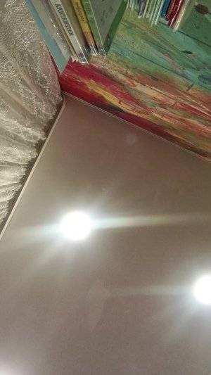 Играем в укради браинрот