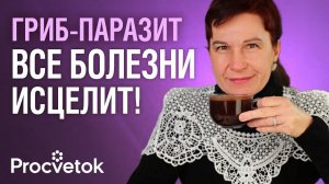 ЧАГА, ИЛИ ГРИБ БЕССМЕРТИЯ! Как употреблять с пользой для здоровья