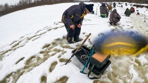ОНИ ЕЩЁ НЕ ЗНАЮТ, ЧТО ПОД НИМИ КРУПНЫЕ СОМЫ и СУДАКИ, ВОТ ЭТО КЛЁВ. Рыбалка зимой в 2026
