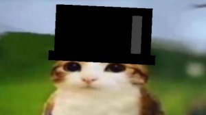 на что я трачу свое время😐