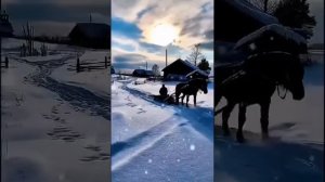 МНЕ МАМА ТИХО ГОВОРИЛА...