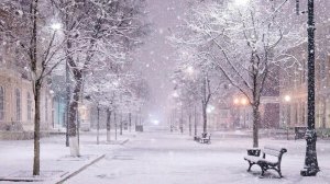 Не зря. Кавер.