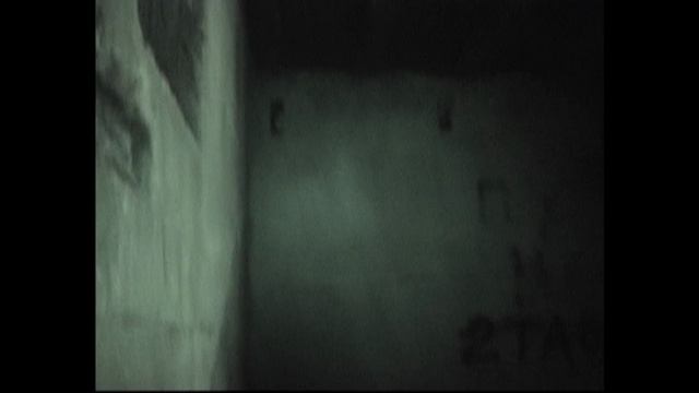 Бункер Гитлера в лесу. Смоленск.