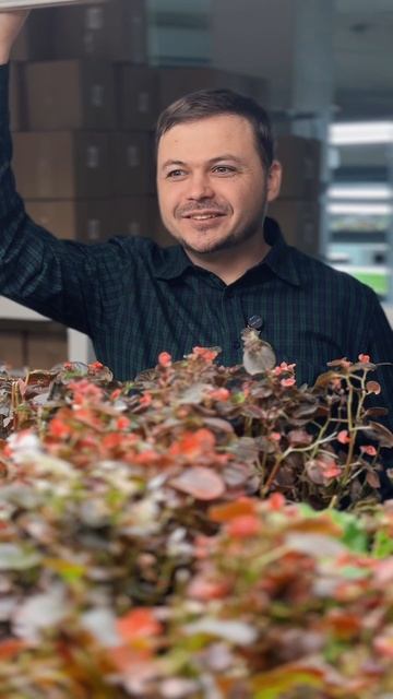 Микрозелень в 2026: аналитика говорит, что рынок вырастет на 200% 📈