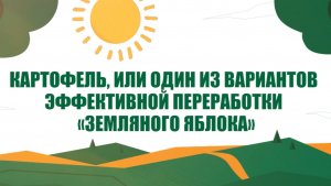 От дьявольского корня к основе рациона: рассказываем все о картофеле