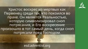 3 марта 2026. Первенец среди тех, кто покоился. Иисус — величайшее имя | 
Адвентисты