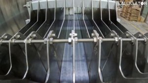 Автоматизированные решения для упаковки в коробки.