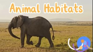 Animal habitats - Среды обитания животных