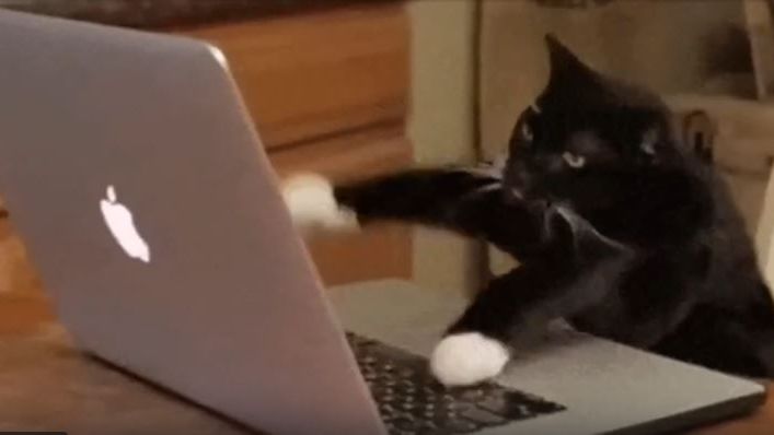 Dust sans alternative theme