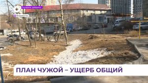 Ущерб Владивостоку от незаконной рубки деревьев на Карбышева составил 250 тысяч рублей