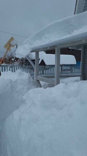 Чем лучше чистить крыши и теплицу?