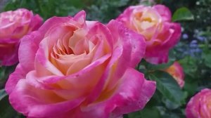 УТРО ИНГУШЕТИИ 030326