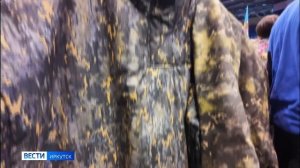 Третий региональный форум волонтерских объединений «СВОих не бросаем» прошел в Иркутске