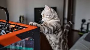 [3] Стрим - Подбор параметров в Cura и Prusaslicer