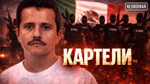 Как КАРТЕЛИ ЗАХВАТЫВАЮТ целые регионы Мексики?
