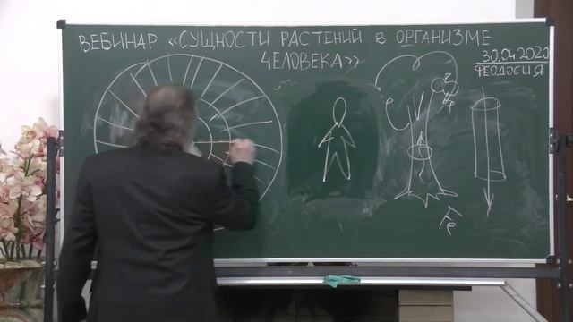 30.04.2020 Вебинар. Сущности растений в организме человека