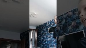 челендж с заданиями с квасиком адидасиком