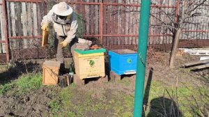 Весна 02.03.2026
Подставляем кормовые рамки для раннево весеннего развития. Обработка от клеща.