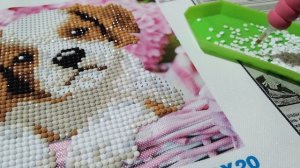 Собираю алмазною мозайку