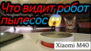 Уборка глазами робота-пылесоса. Обсуждение  покупки. Xiaomi Mijia Robot Vacuum Mop M40.