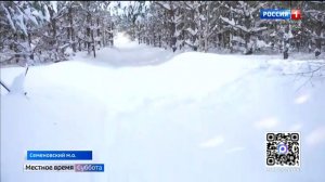 Ежегодный зимний учет диких животных в Нижегородской области продолжается