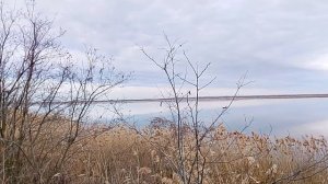 Природа , перезвон VID_2026.03.01