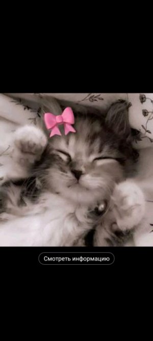 просто Стрим
♥︎♡✿♥︎♡✿✮ *😍ˈ⃢ˈ⃢ˈ⃢ˈ⃢ˈ⃢📸🎆ˈ⃢ˈ⃢ˈ⃢ˈ⃢ˈ⃢ˈ⃢ˈ⃢ˈ⃢ˈ⃢ˈ⃢ˈ⃢ˈ⃢ˈ⃢ˈ⃢ˈ⃢ˈ⃢ˈ⃢ˈ 💕*