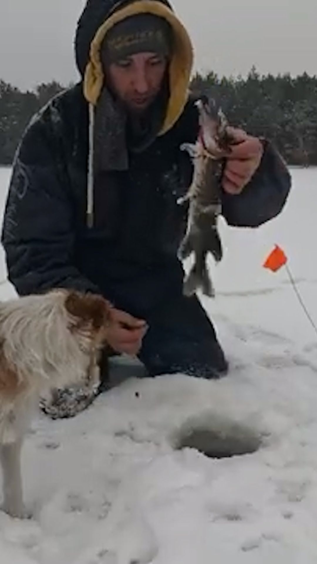 Первый Улов не заставил себя долго ждать