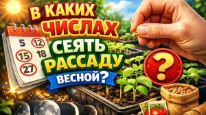 В каких числах сеять семена перца , баклажана , помидор , огурцов