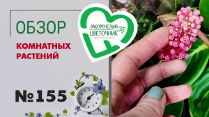 Обзор. Инопланетяне и азалии, гардении, гвоздики, лилии, жасмины, орхидеи, гиацинты, нарциссы. №155